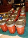 One of many batches of tomato sauce this year